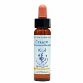Bach Cerato - Ceratostigma 10 Ml. Healing Herbs