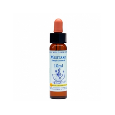 Bach Mustard - Mostaza 10 Ml. Healing Herbs