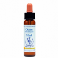 Bach Olive - Olivo 10 Ml. Healing Herbs