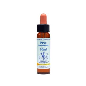 Bach Pine - Pino Albar 10 Ml. Healing Herbs
