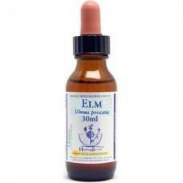 Bach Elm - Olmo 30 Ml. Healing Herbs