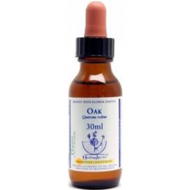 Bach Oak - Roble Albar 30 Ml. Healing Herbs