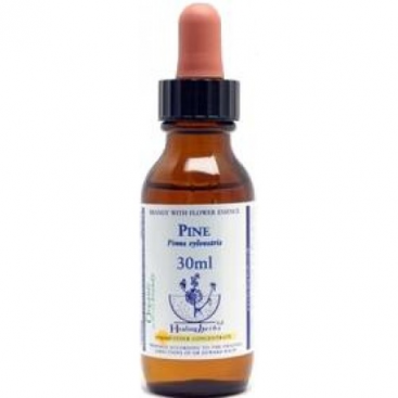 Bach Pine - Pino Albar 30 Ml. Healing Herbs