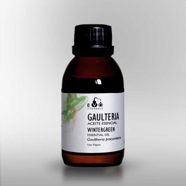 Gaulteria Wintergreen aceite esencial BIO 100ml. Evo - Terpenics