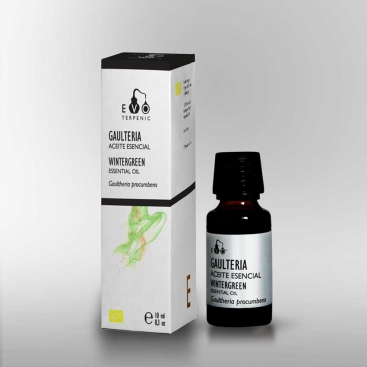 Gaulteria Wintergreen aceite esencial BIO 10ml. Evo - Terpenics